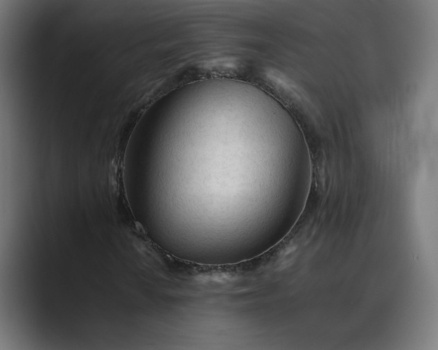 X0000089351010200706291017