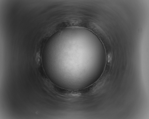X0000089351011200706291017