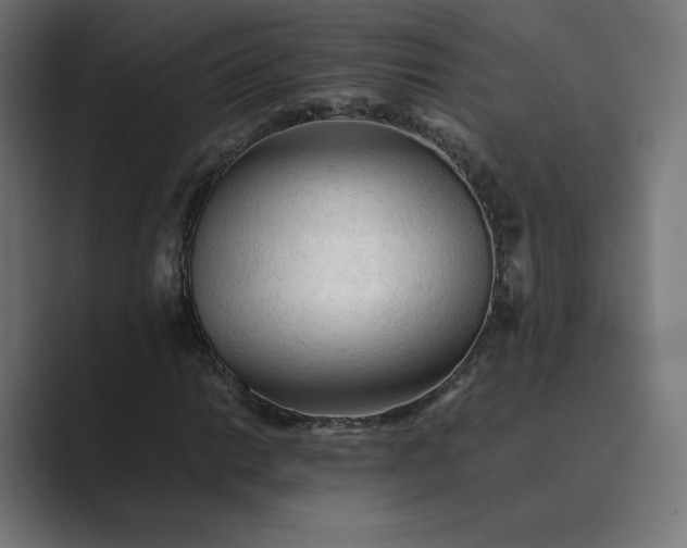 X0000089351014200706291017