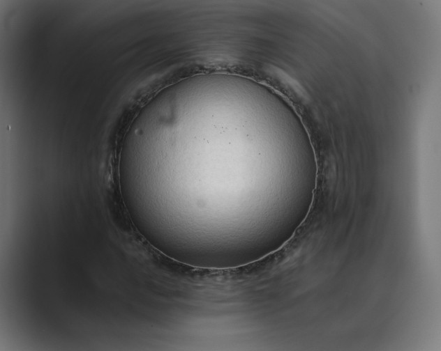 X0000089351016200706291017