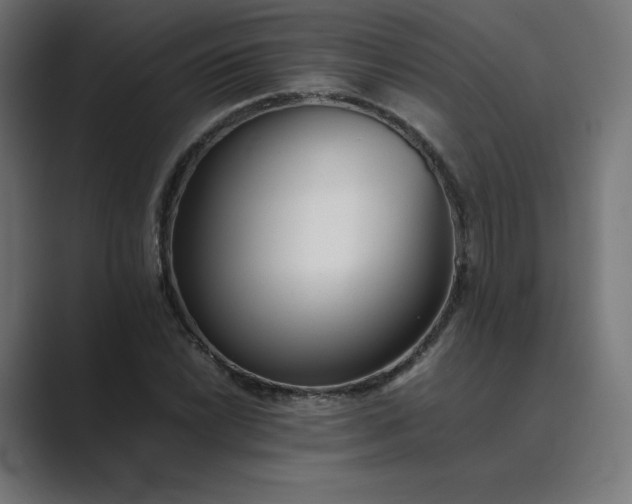 X0000089351022200706291017