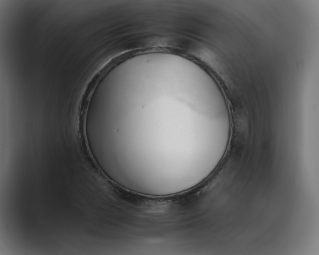 X0000089351023200706291017