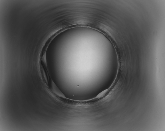X0000089351026200706291017