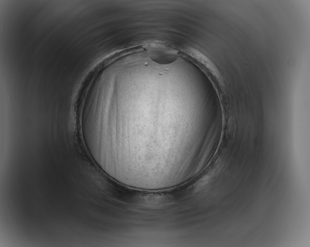 X0000089351027200706291017