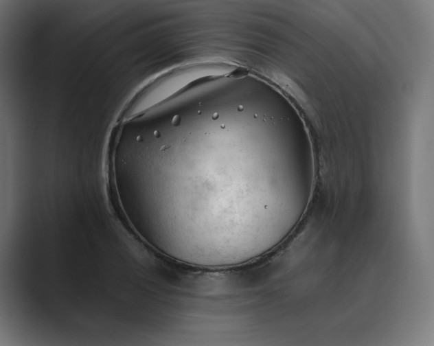 X0000089351028200706291017
