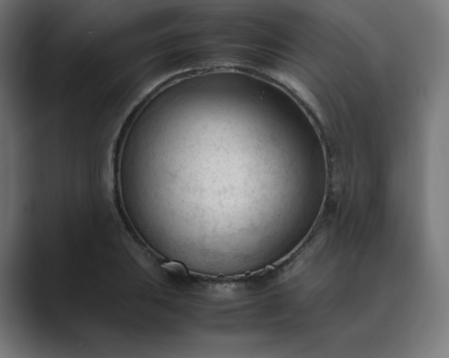 X0000089351031200706291017