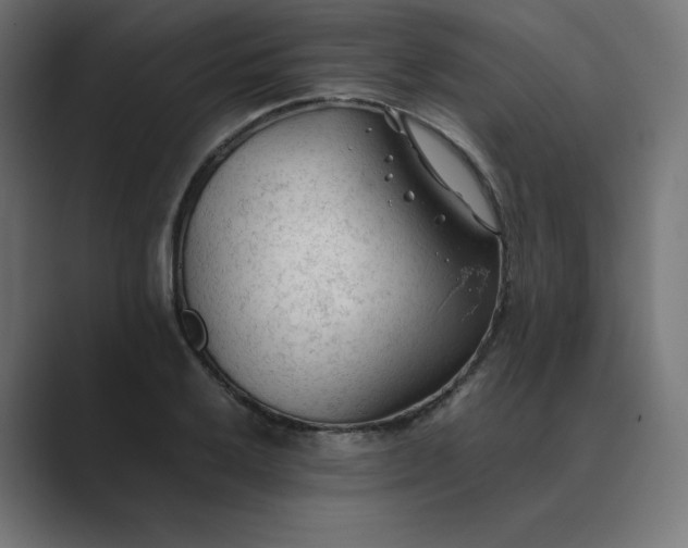 X0000089351032200706291017
