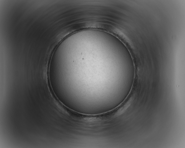 X0000089351033200706291017