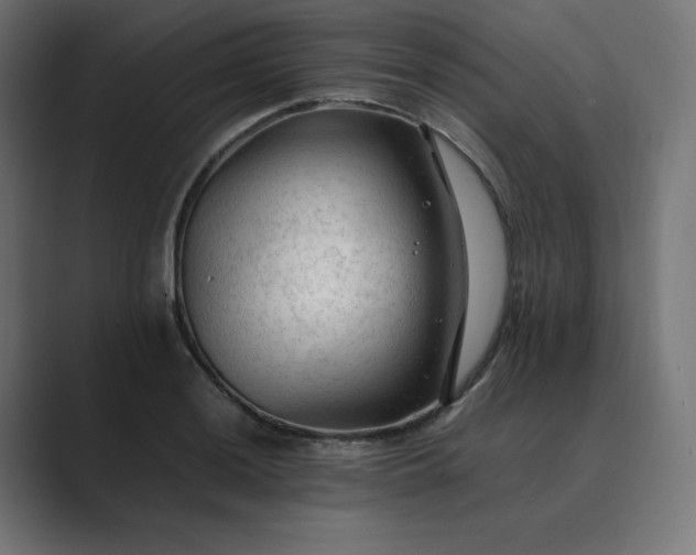 X0000089351036200706291017
