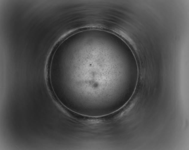 X0000089351037200706291017