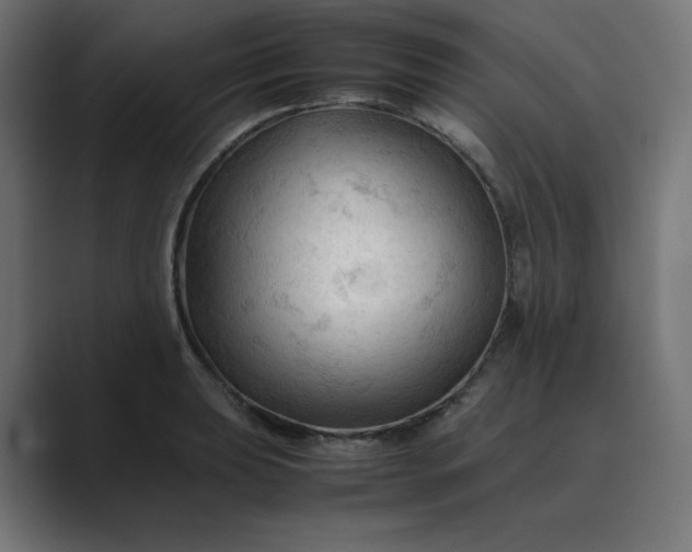 X0000089351039200706291017