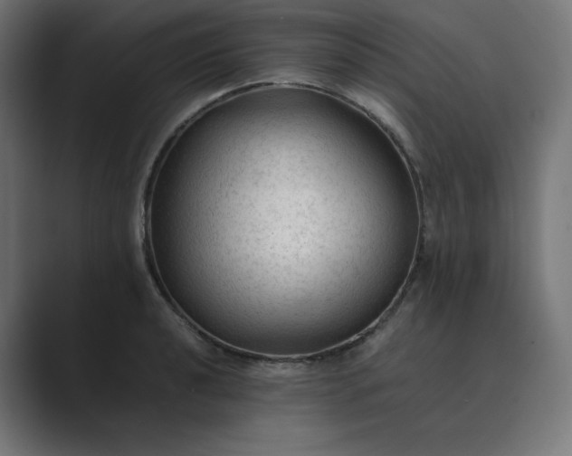 X0000089351040200706291017
