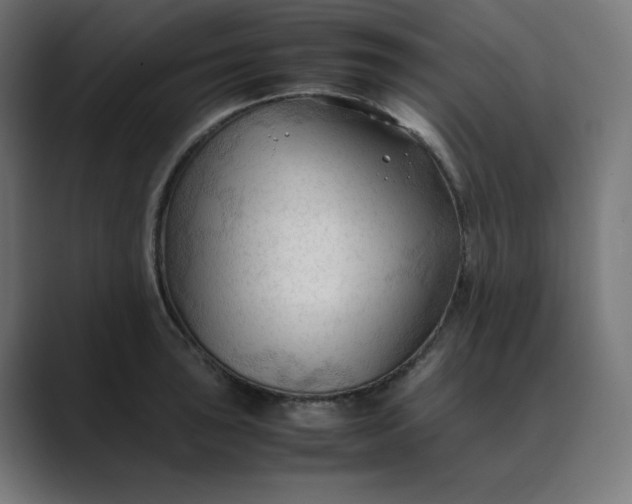 X0000089351043200706291017