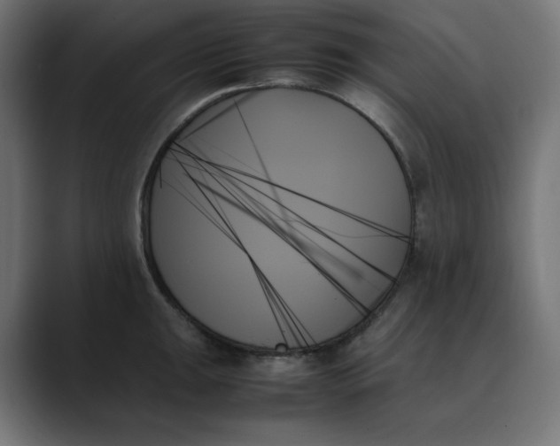 X0000089351047200706291017