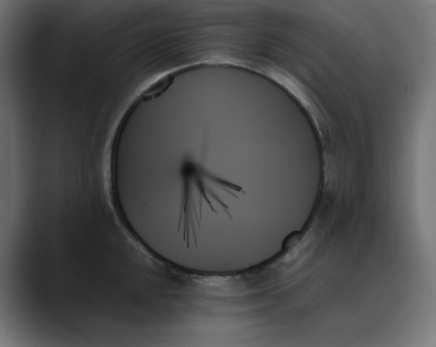 X0000089351048200706291017