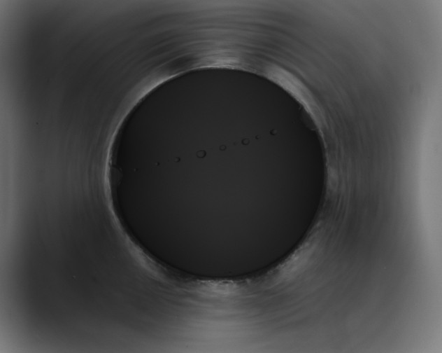 X0000089351050200706291017
