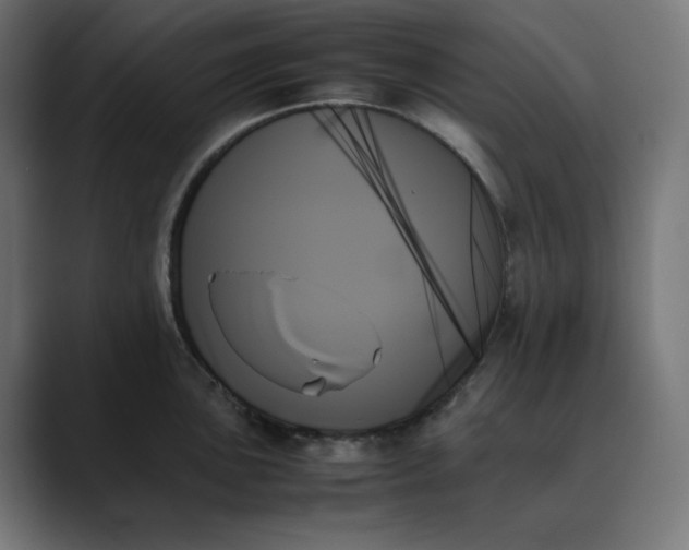 X0000089351051200706291017