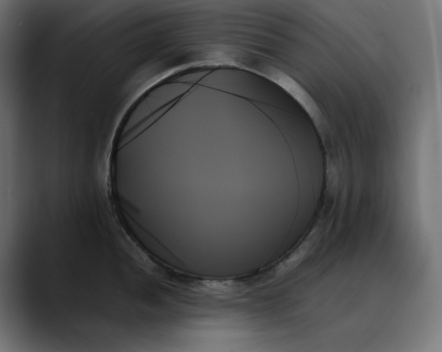 X0000089351052200706291017