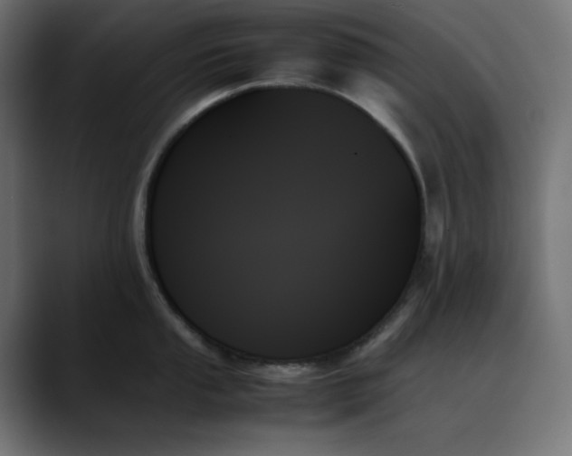X0000089351053200706291017
