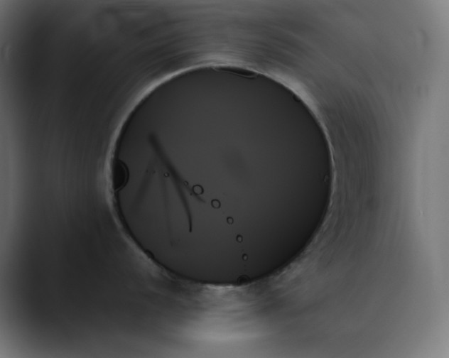 X0000089351056200706291017