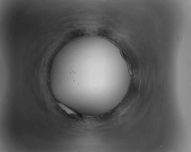 X0000089351057200706291017