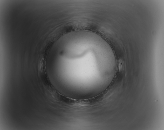 X0000089351059200706291017