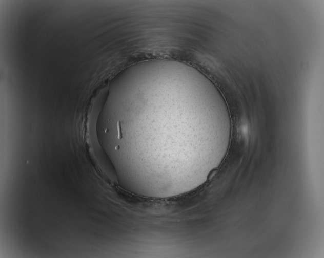 X0000089351060200706291017