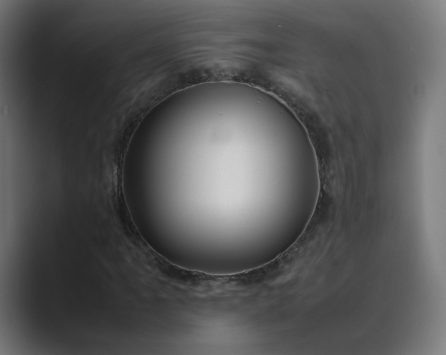 X0000089351061200706291017
