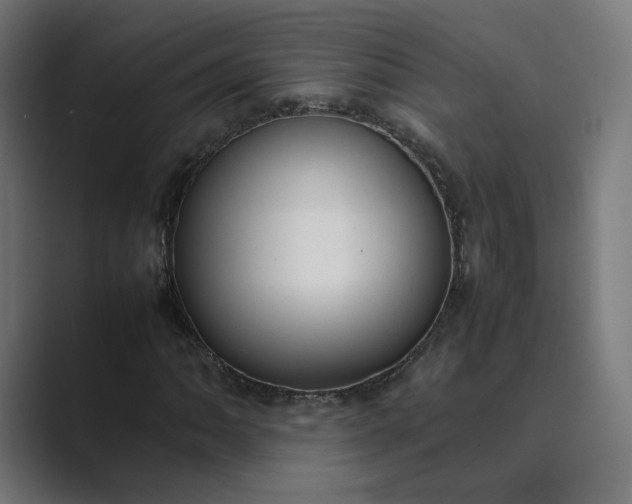 X0000089351062200706291017