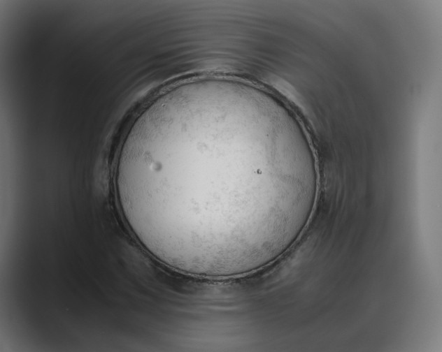 X0000089351067200706291017