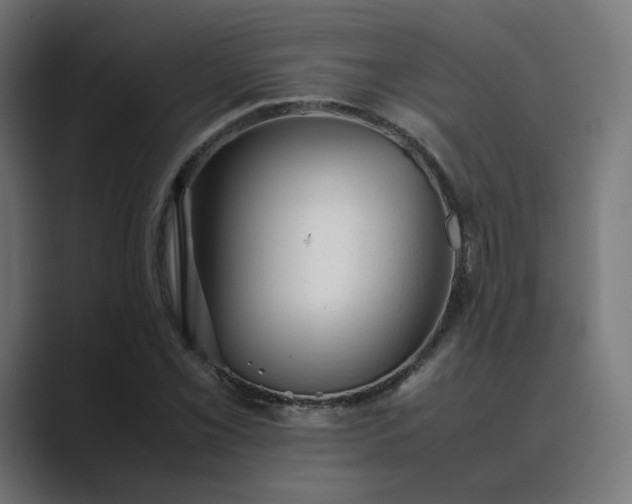 X0000089351069200706291017