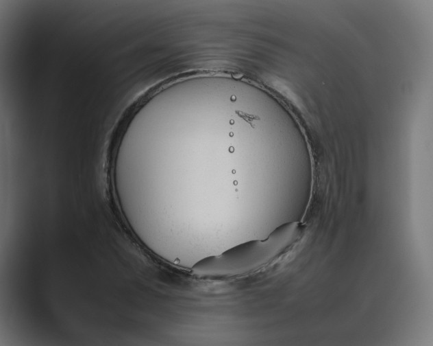 X0000089351071200706291017
