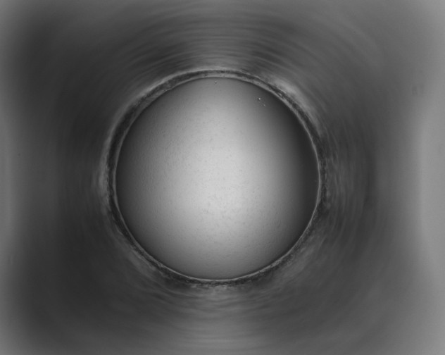 X0000089351072200706291016