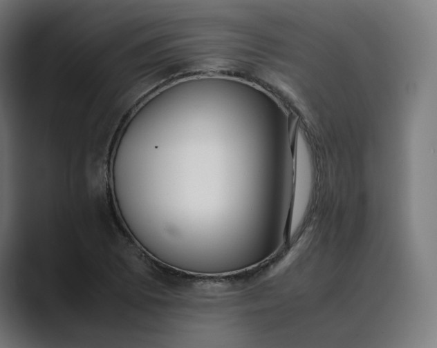 X0000089351073200706291016