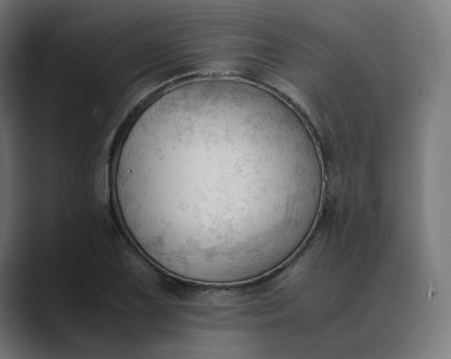 X0000089351075200706291016