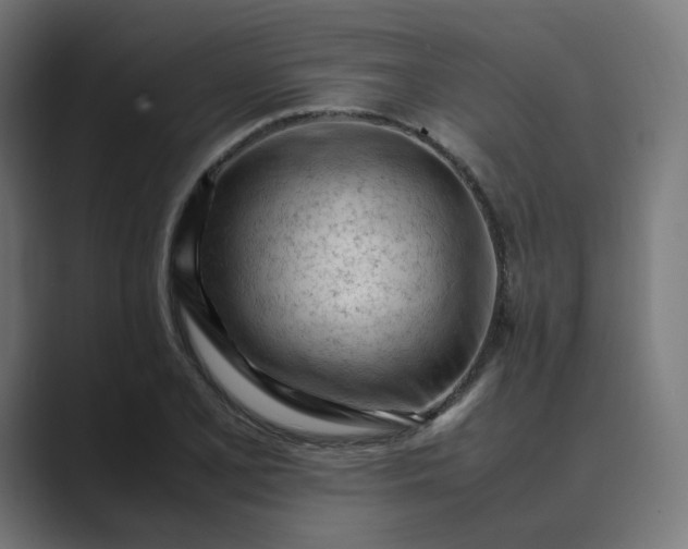 X0000089351077200706291016