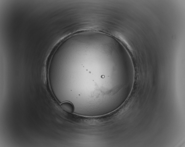 X0000089351079200706291016