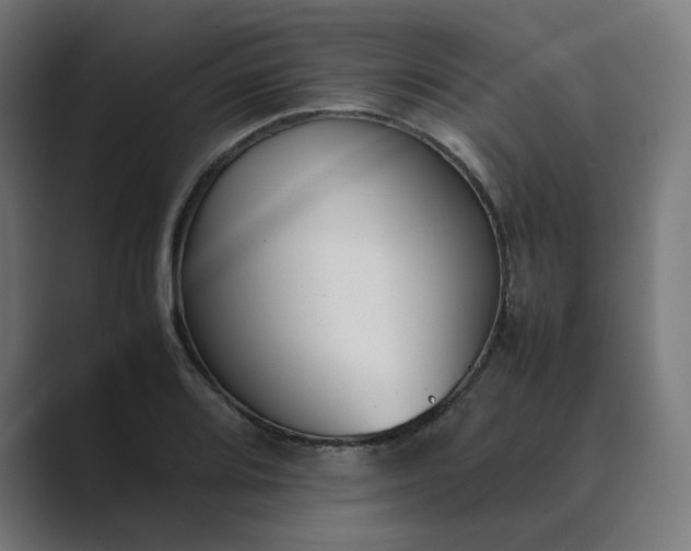 X0000089351080200706291016