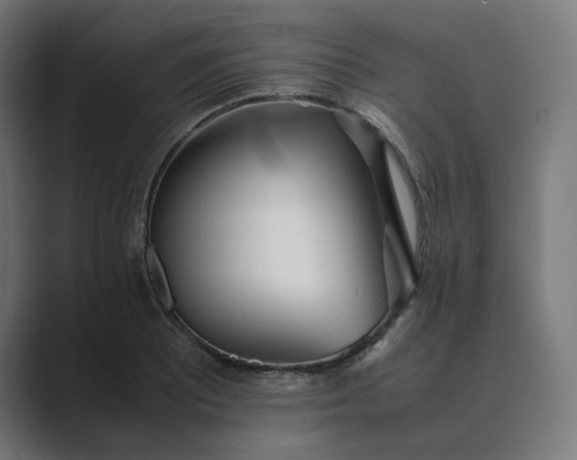 X0000089351081200706291016
