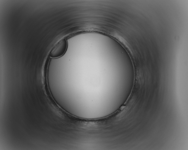 X0000089351082200706291016