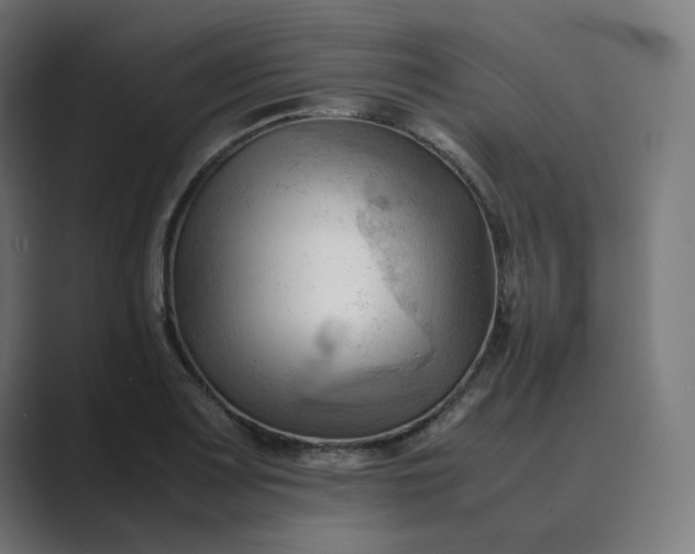 X0000089351083200706291016