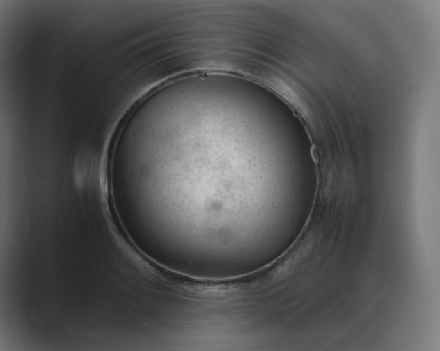 X0000089351084200706291016
