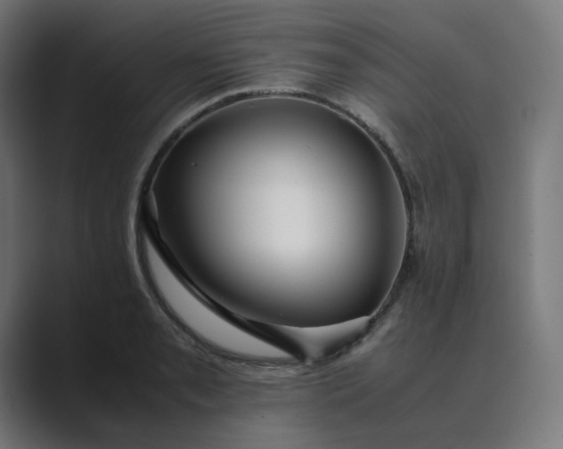 X0000089351085200706291016