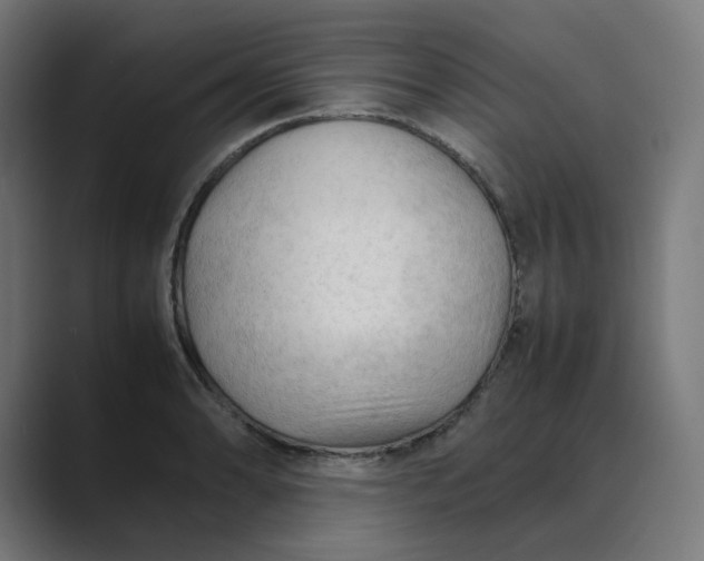 X0000089351086200706291016