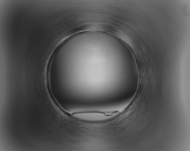 X0000089351087200706291016