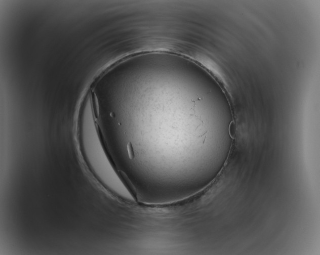 X0000089351088200706291016