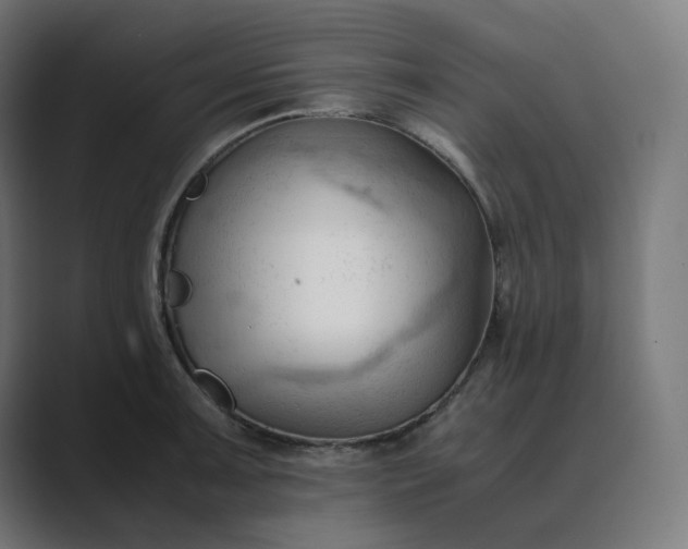 X0000089351091200706291016