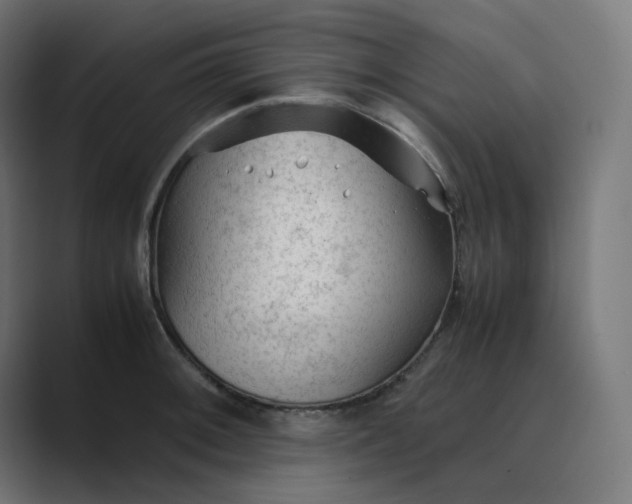 X0000089351092200706291016