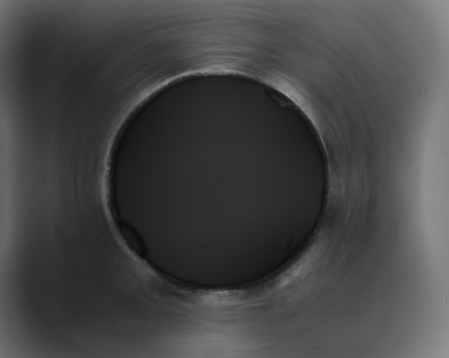X0000089351093200706291016