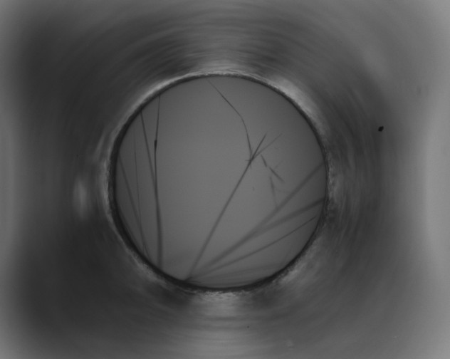 X0000089351094200706291016